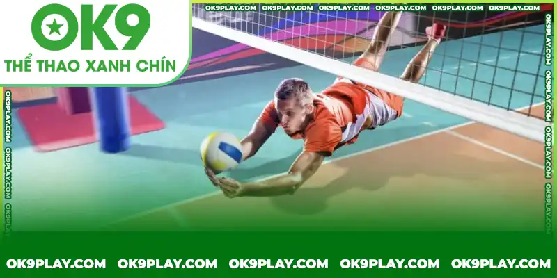 Các loại kèo cược bóng chuyền phổ biến tại OK9 Các loại kèo cược bóng chuyền phổ biến tại OK9
